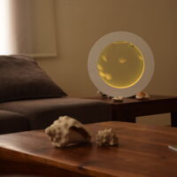 Cómo empiezo mi medusario.