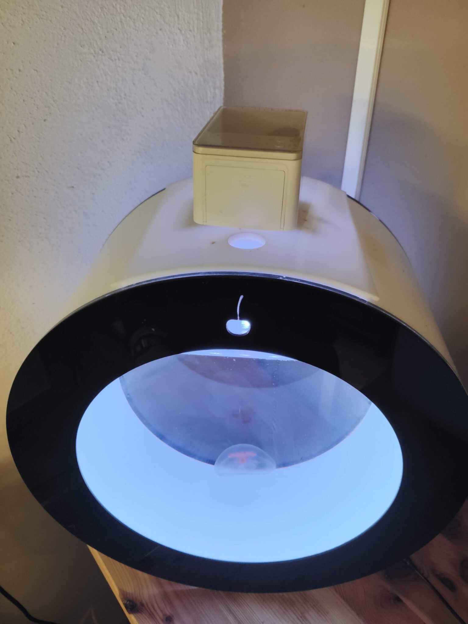 Cómo queda colocado el comedero automático en un medusario del modelo O16